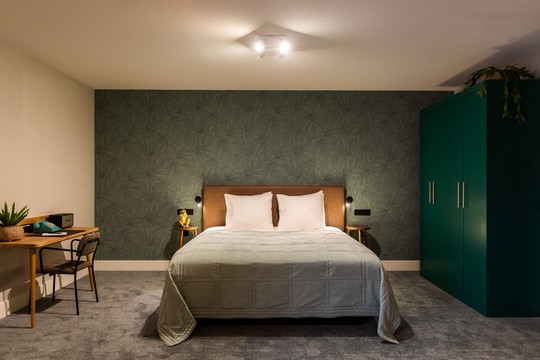 Jungle Family Suite