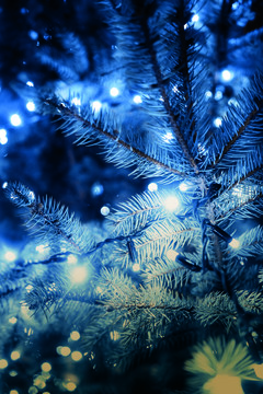Kerstbrunch