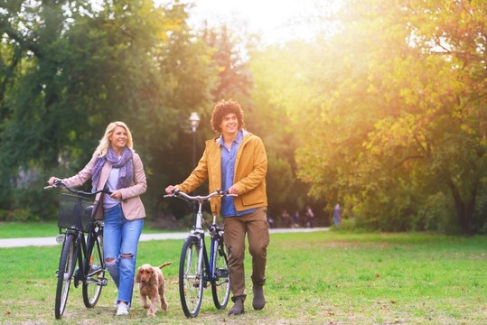 Bike rental