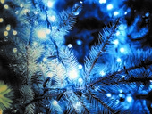Kerst